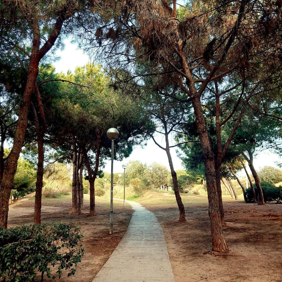 Confort En Playa, 3 Drm Barcelone